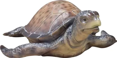 Produktbild von Dekofigur Wasserschildkröte 12 x 35 x 28 braun