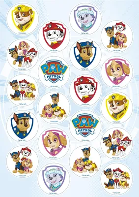 Produktbild von DeKora Essbare Mini-Tortenaufleger / Törtchenaufleger Paw Patrol, 20 Stück, zum Geburtstag