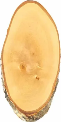 Produktbild von Hirschschild Birke 35-39x20cm