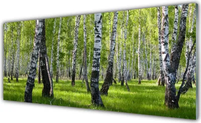 Produktbild von Acrylglasbilder 125x50 Wandbild Druck Wald Natur