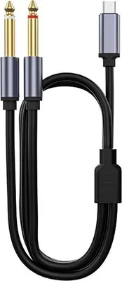 A black audio cable with two 6.35mm jack connectors on one end and a USB Type-C connector on the other, laid out on a white background.