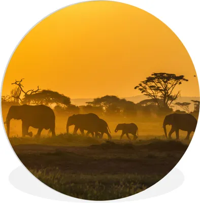 Produktbild von MuchoWow® Rundes Wandbild - Runde Bilder Elefant - Tier - Orange Ø 30 cm Kreis Wanddekoration Kunststoff - Wandkreis - Wandschmuck - Schlafzimmer - Bilder - Der Kreis - Kunst für die Wohnung - Plastik - Kunstdruck - Wandbild