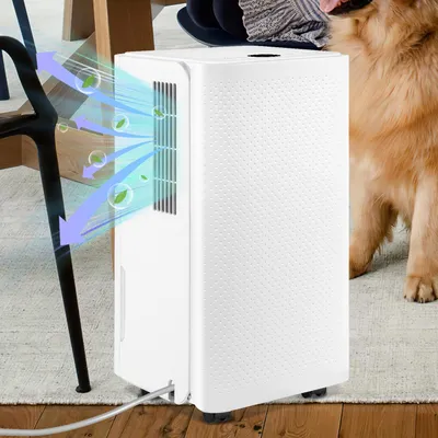 Produktbild von Jayseuw Luftentfeuchter Lufttrockner 16L/Tag 2L-Tank, Raumentfeuchter 38dB, mit Wassertank Dehumidifier