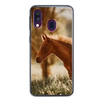 Produktbild von MuchoWow® Handyhülle Schutzhülle Hülle für Samsung Galaxy A40 Pferd - Licht - Wiese Silikon Softcase Handy Hülle - Handy-Tasche