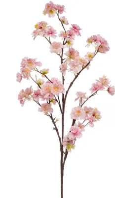 Produktbild von künstlicher Kirschblütenzweig Magnolie creme weiß H. 120cm Emerald Kunstblumen