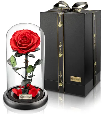 Imagen del producto de Rosa premium de verdad, presentada en un recipiente de vidrio: un regalo elegante para ocasiones especiales