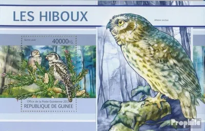 Produktbild von Briefmarken Guinea 2013 Mi Block 2207 (kompl. Ausgabe) postfrisch Eulen (Surnia ulula)