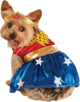 Produktbild von Wonder Woman - kostým pro psa BN5397 (S-36 cm-28 cm) (červená/modrá/zlatá)