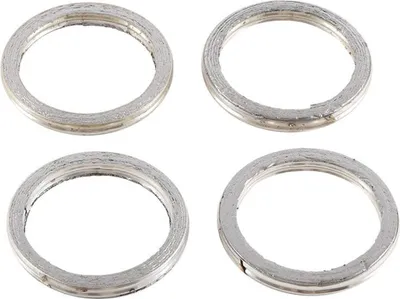 Immagine prodotto di Guarnizione, tubo di scarico WINDEROSA W823029
