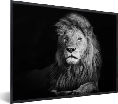 Produktbild von MuchoWow® Gerahmtes Poster Wildlife - Löwe - Schwarz - Weiß 40x30 cm - Poster mit Schwarzem Bilderrahmen Wandposter Rahmen Foto Bilder - Kunstposter - Wanddekorationen