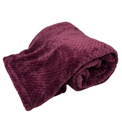 Zdjęcie produktu dla Koc HOME ELEMENTS 150 x 200 cm, 220 GSM
