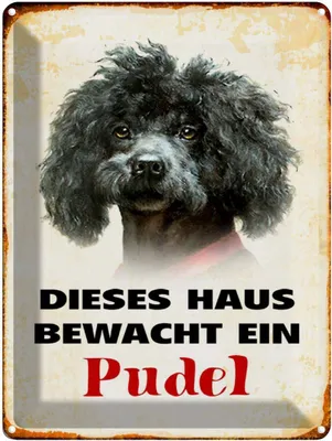 Produktbild von vianmo Blechschild 40x30 cm Hund dieses Haus bewacht ein Pudel