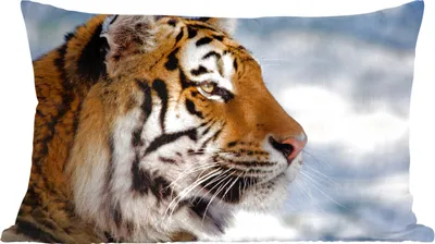 Produktbild von MuchoWow® Zierkissen Sofakissen Wohnzimmer Dekokissen 50x30 cm Tiger - Schnee - Natur - Wohnzimmerdekoration - Polster mit Photo