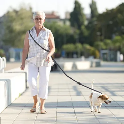 Produktbild von Multifunktionale Hundeleine für große Hunde - 3 Meter, verstellbar und langlebig