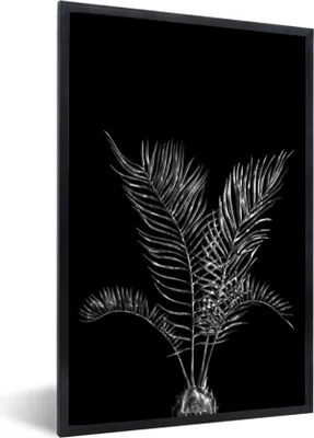 Produktbild von MuchoWow® Gerahmtes Poster Blätter einer Palme auf schwarzem Hintergrund - schwarz und weiß 40x60 cm - Poster mit Schwarzem Bilderrahmen Wandposter Rahmen Foto Bilder - Papierdruck - Wandbilder