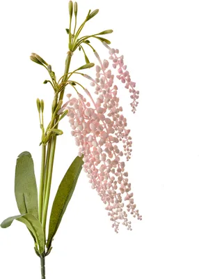 Produktbild von Clayre & Eef Kunstblume 82 cm Rosa Kunststoff