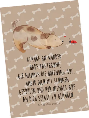 Produktbild von Mr. & Mrs. Panda Postkarte Hund Marienkäfer - Hundeglück - Geschenk, Ansichtskarte, Träume, bildkarte, Zuversichtlich, Mischlingshund, Sprüche, Positiv, Ansichtskarten