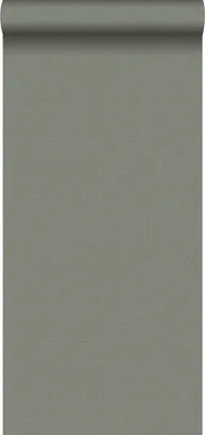 Obrázek produktu pro Walls4You Tapety hladké zeleno-šedé - 935343 - 0,53 x 10,05 m