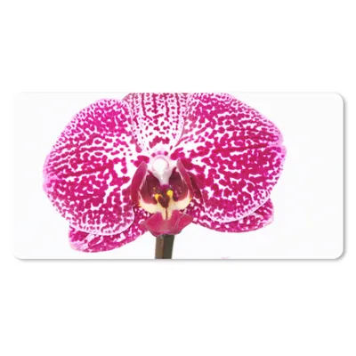 Produktbild von MuchoWow® Mauspad Mousepad Orchidee rosa 60x30 cm - Mousepads - Maus Mat - Pad - Mausunterlage - Nachhaltig