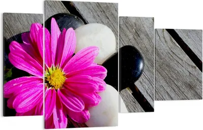 Produktbild von Bild auf Leinwand - Leinwandbild - Stein Blume Blütenblätter Chrysantheme - 120x70cm - Wand Bild - Wanddeko - Leinwanddruck - Bilder - Kunstdruck - Leinwand bilder - Wandkunst - DL120x70-2302