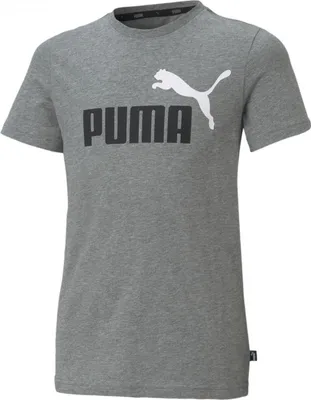 Produktbild von Puma ESS 2 Col Logo Tee B MEDIUM GRAY HEATHER 116