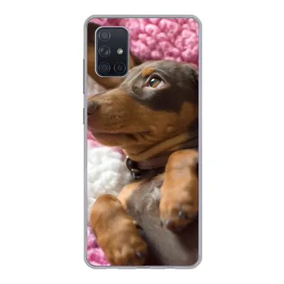 Produktbild von MuchoWow® Handyhülle Schutzhülle Hülle für Samsung Galaxy A71 Ein Dackelwelpe auf einer rosa Decke Silikon Softcase Handy Hülle - Kartenbesitzer