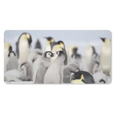 Produktbild von MuchoWow® Schreibtischunterlage Pinguine - Schnee - Tiere 80x40 cm - XXL Mauspad - Gaming Mauspad