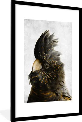 Produktbild von MuchoWow® MuchoWow® Gerahmtes Poster Kakadu - Vogel - Gold 60x90 cm - Poster mit zchwarzem Bilderrahmen - Dekoration - Wandposter Wohnzimmer - Hochwertig