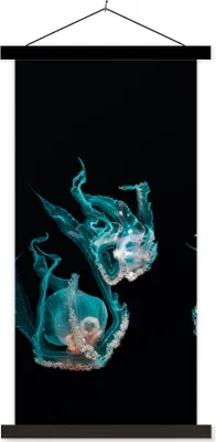 Produktbild von MuchoWow® Textilposter Quallen - Meerestiere - Schwarz 60x120 cm mit schwarzem Rahmen - Magnete