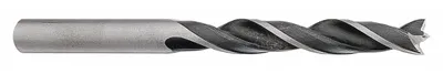 Obrázok produktu pre Proline vrták na drevo, 4 x 75 mm - HIKOKI - 781902