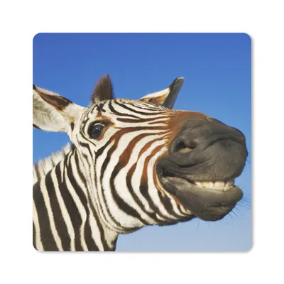 Produktbild von MuchoWow® Mauspad Mousepad Zebra - Lustig - Kinder - Jungen - Mädchen 20x20 cm - Mousepads - Maus Mat - Pad - Mausunterlage - Desk Mat - Bureauartikeln