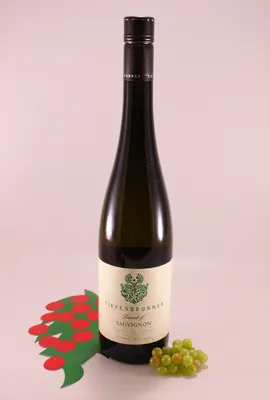 Produktbild von Sauvignon Castel Turmhof - 2023 - Kellerei Tiefenbrunner