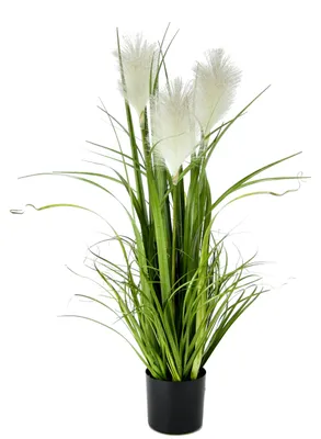 Produktbild von Elzusha – Kunstpflanze Pampasgras im Topf, 80 cm – Dekorativer Seidenpflanze