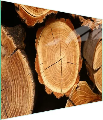 Obrázek produktu pro Skleněná krájecí deska 52x30 dřevo