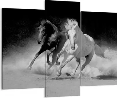 Produktbild von Bild auf Leinwand - Leinwandbild - 3 Teile - Andalusier Pferde Galopp - 130x100cm - Wand Bild - Wanddeko - Wandbilder - Leinwanddruck - Bilder - Wanddekoration - Leinwand bilder - CB130x100-4240
