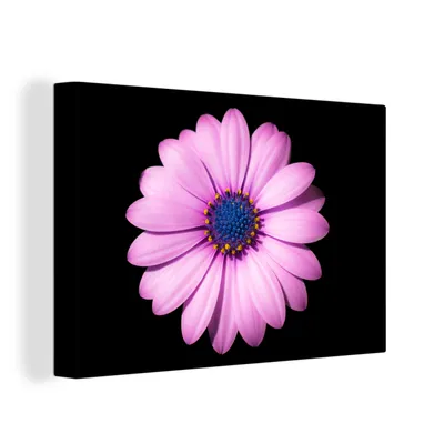 Obrázek produktu pro OneMillionCanvasses® Malba na plátně Nástěnná malba na plátně - Sedmikráska - květina - růžová - 150x100cm