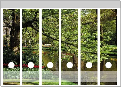 Produktbild von Wallario Ordnerrücken Sticker, selbstklebend für breite Ordner, 6 Stück, Motiv Bunte Blumen im Park am Wasser - Frühblüher am Ufer