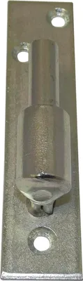 Image de Cône de plaque, broche conique ø 16 mm, effet inox