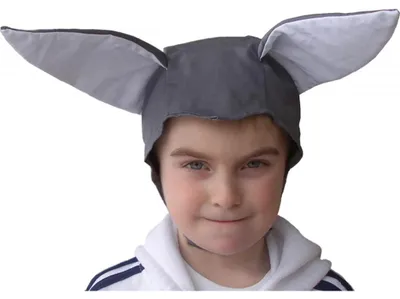 Immagine prodotto di Cappello da asino
