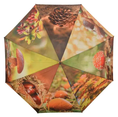 Regenschirm-Herbstmotive-Automatik