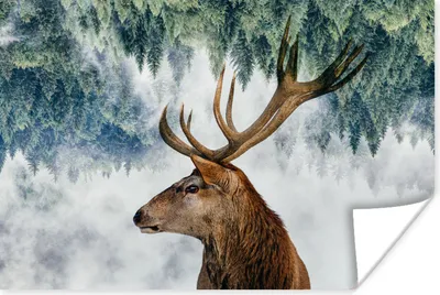 Produktbild von MuchoWow® Poster Mehrfachbelichtung eines Rehs und eines Himmels voller Bäume 180x120 cm - Fotoplakat