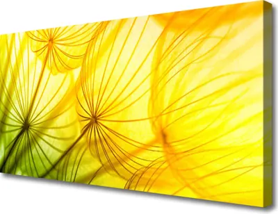 Produktbild von Tulup Leinwand-Bilder 100x50 Wandbild Canvas Kunstdruck Pusteblume Pflanzen