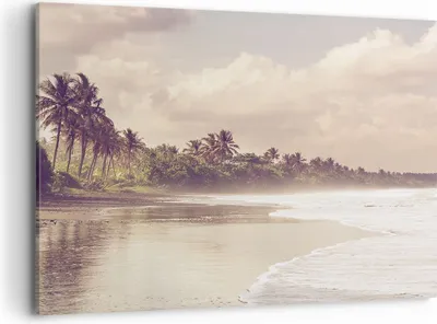 Produktbild von Bild auf Leinwand - Leinwandbild - Einteilig - Palmen Strand Wasser - 120x80cm - Wand Bild - Wanddeko - Wandbilder - Leinwanddruck - Bilder - Wanddekoration - Leinwand bilder - AA120x80-4917