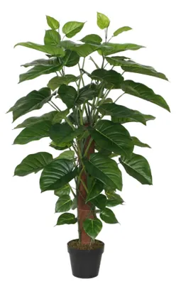 Produktbild von aplanta Künstlicher Pothos – Elowyn | 120 cm, für drinnen, Kunstpflanze, wie echt, Allergiker geeignet, pflanzliche Dekoration Praxis, Office & Wohnzimmer