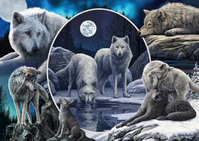 Obrázok produktu pre Puzzle 1000T. Prächtige Wölfe