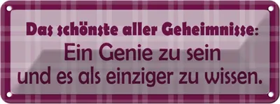 Produktbild von vianmo Blechschild 10x27 cm Schönste aller Gehimnisse Dekoration Spruch Zitat
