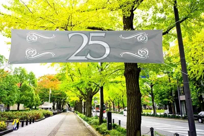 Produktbild von Silberhochzeits Banner 1.8m x 40cm