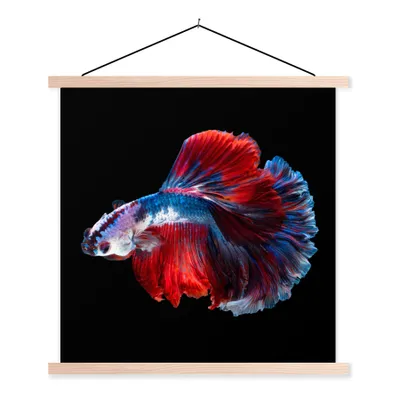 Produktbild von MuchoWow® Textilposter Fisch - Schwanz - Schwarz 40x40 cm mit holzfarbenen Rahmen - Posterleiste