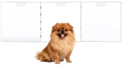 Imagen del producto de Barrera para perros de acrílico transparente, para uso en interiores