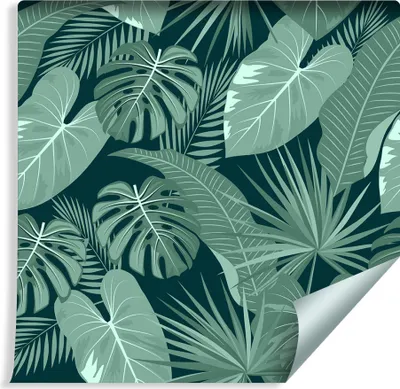 Zdjęcie produktu dla Tapeta Do Salonu Tropikalna Dzika Przyroda MONSTERA Liście Bananowca Natura Ozdoba Ścienna z modnym efektem 3D